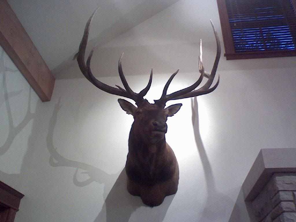 Official Wyoming Picture Thread (Cheyenne, Kaycee rent, bars, office